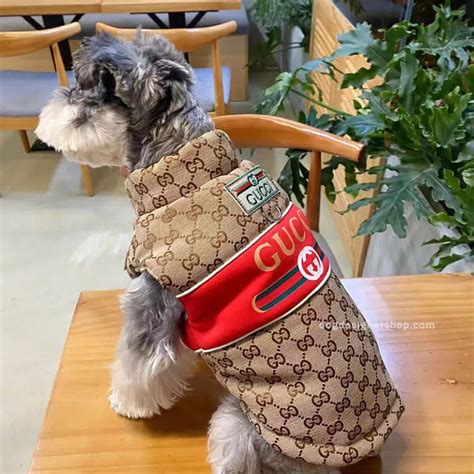 dog carrier gucci|designer dog coats gucci.